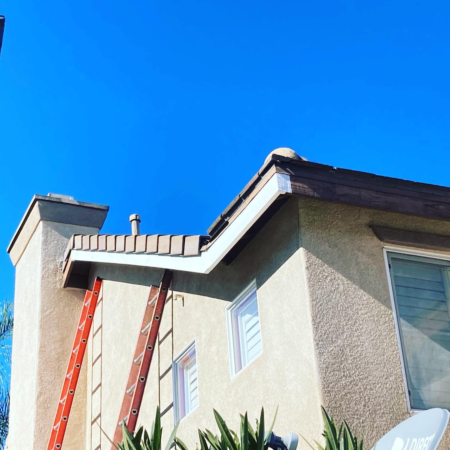 Onpoint Pest & Termite Control | Chula Vista CA