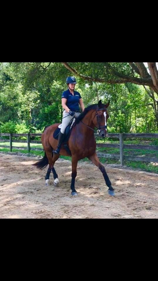Dark Horse Stables is offering riding... Dark Horse Stables