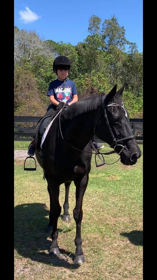Dark Horse Stables is offering riding... Dark Horse Stables