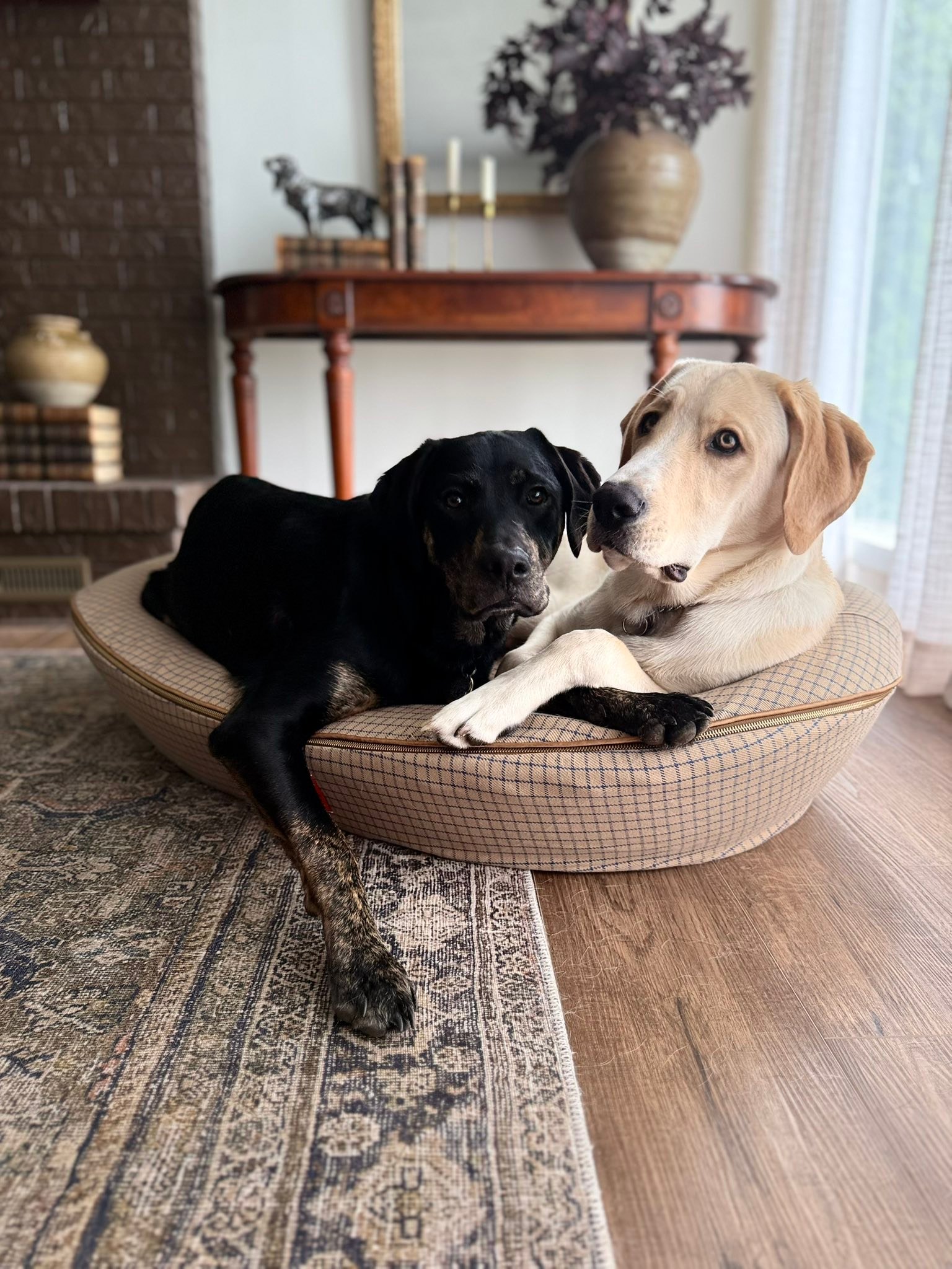 hundekissen auto rckbank KYG Hundedecke fr Auto Rckbank, Rcksitz mit Seitenschutz und Sichtf   KYG-Group