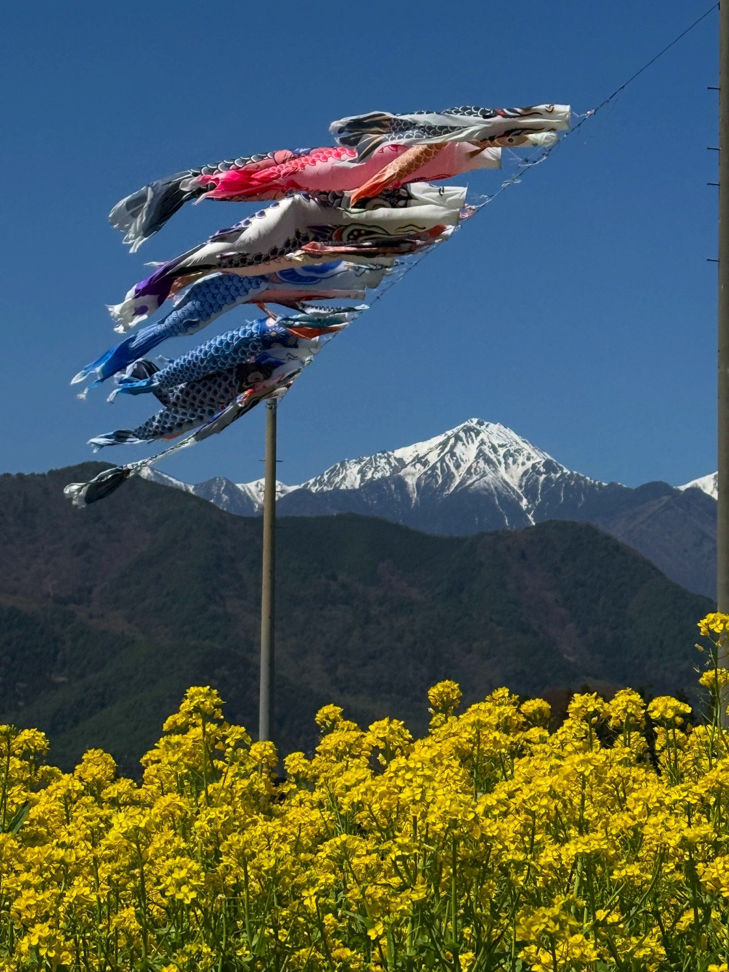 安曇野市観光協会 Azumino Tourism Association | Azumino-shi Nagano