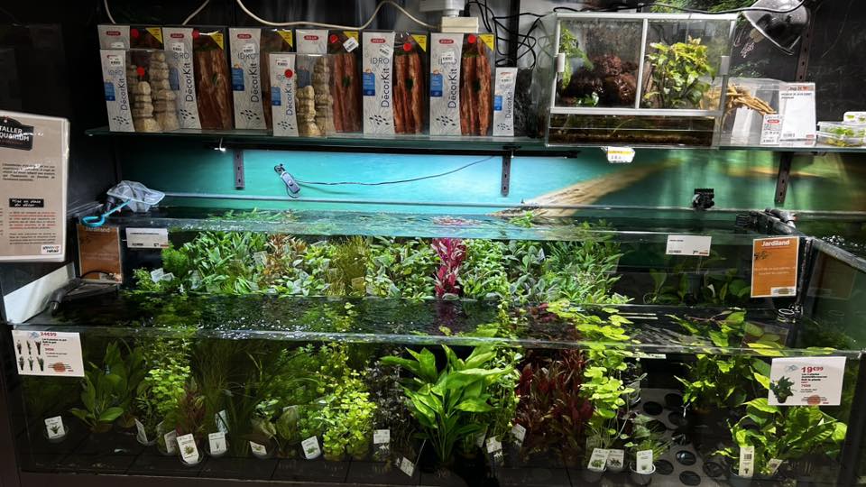 Sitemapcdatahttpsmixel Thicoipeinfoaquarium Jardiland Promonull