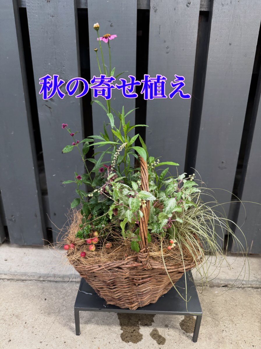 蒲郡園芸ガーデン | Gamagori-shi Aichi