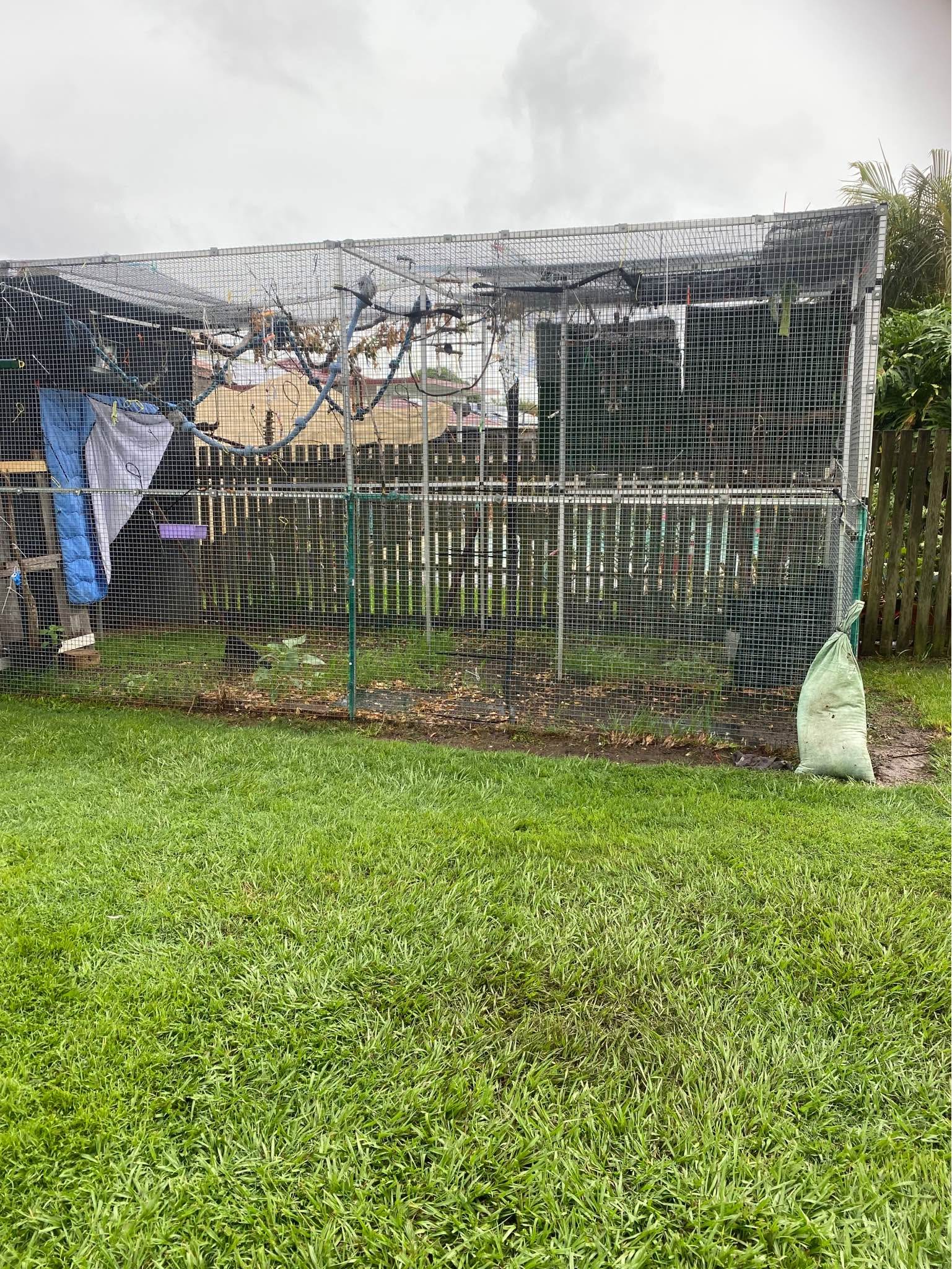 Curated visual reference: Humongous Bird Aviaries Reference: Huge Aviary Housed Over 80 Birds