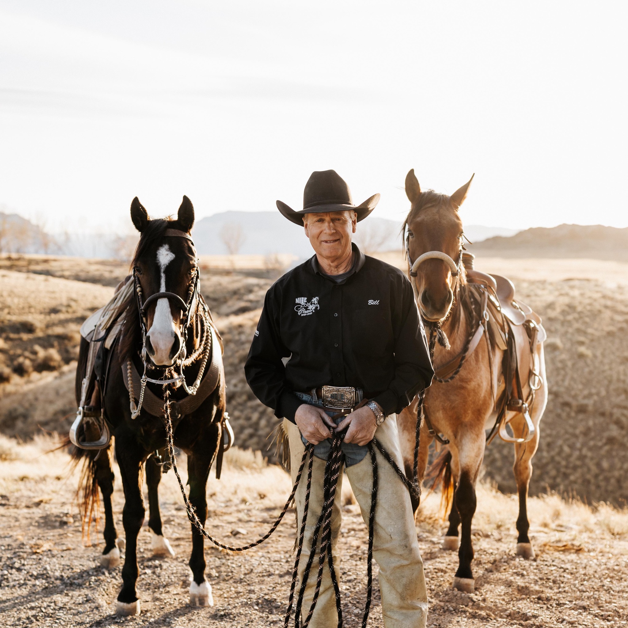 Building the calf roping horse… so much goes into it all… Ground work ...