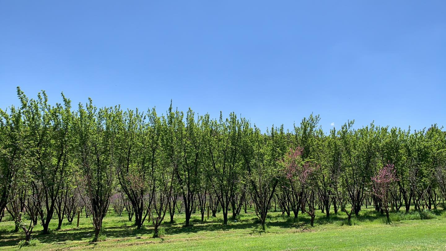 Fraser's Ridge Equestrian Estate