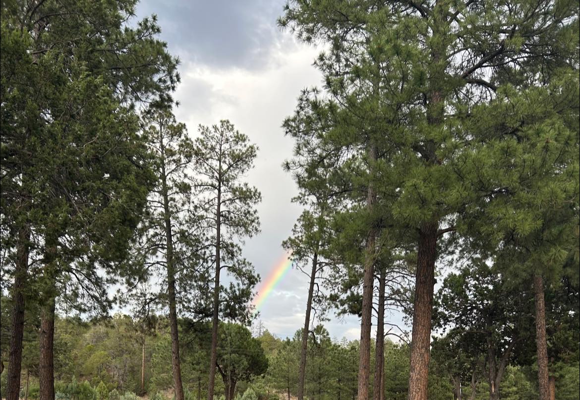 Circle Cross RV Park | Timberon NM