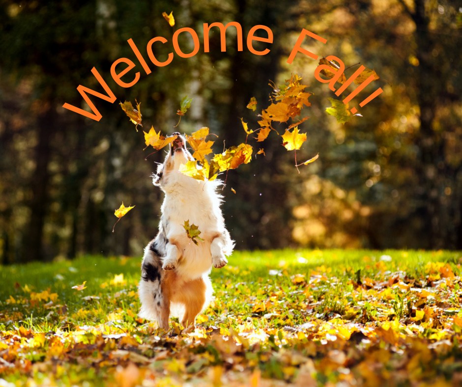 Union - It's the 1st day of Fall! Who is celebrating Autumn and who is ...