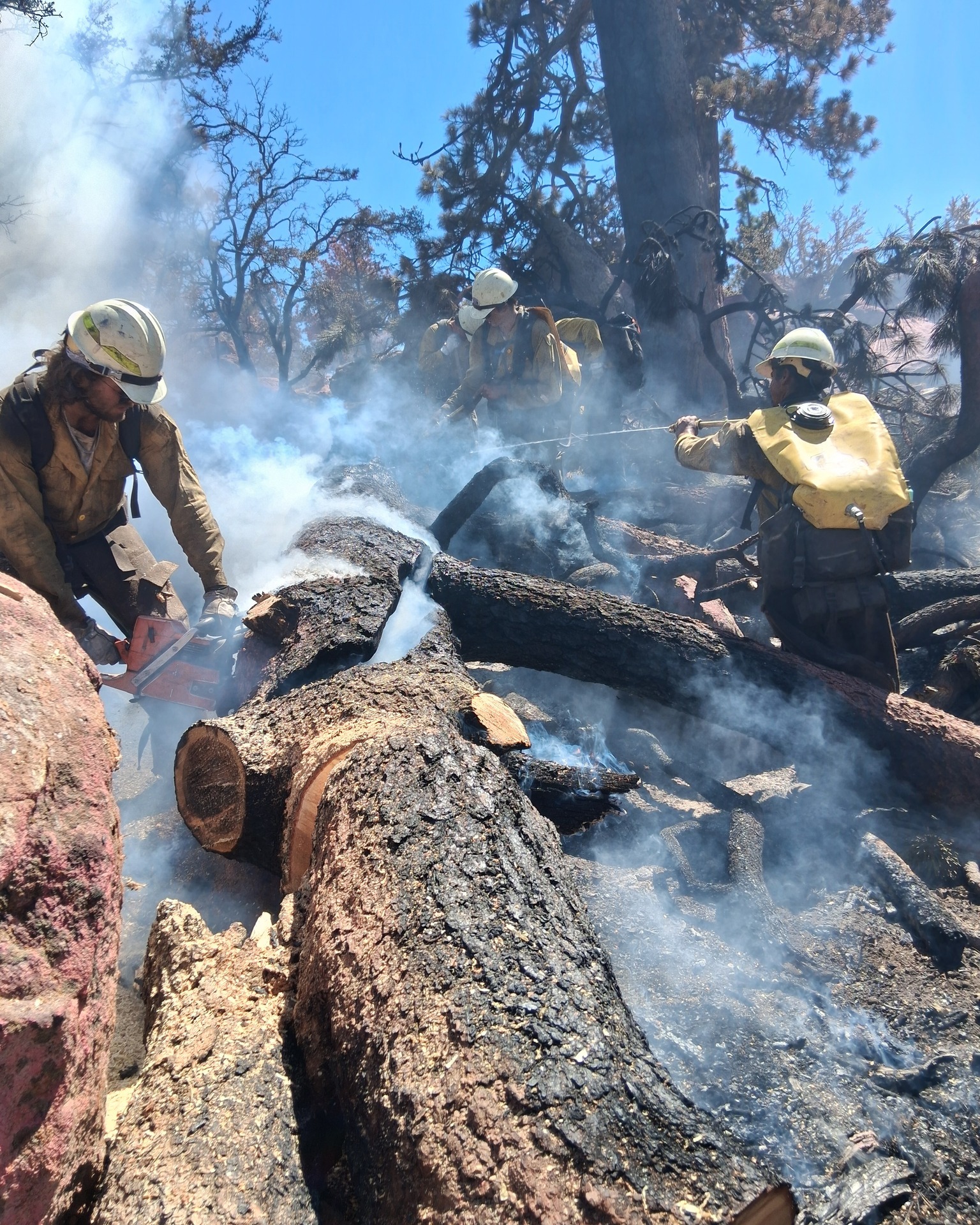 Crew 7 putting... - Firestorm Wildland Fire Suppression Inc. | Facebook