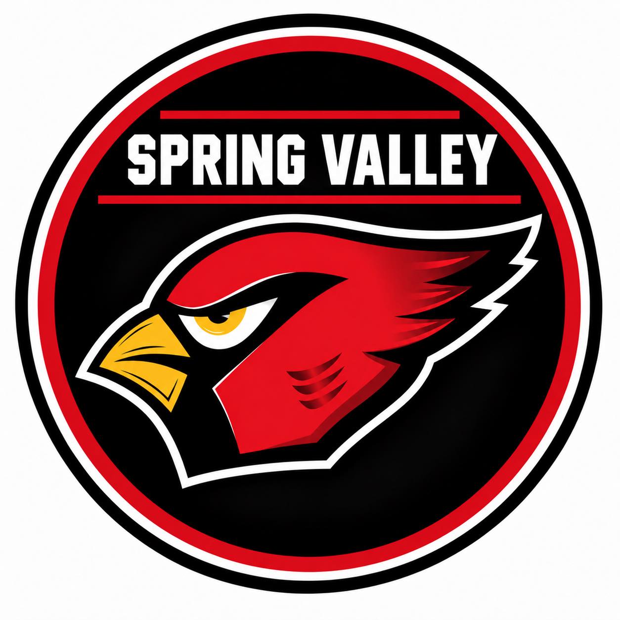 School District of Spring Valley on Reels