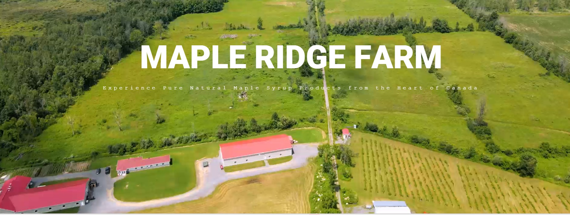 SDG Tourism - 🍁 Welcome Maple Ridge Farm to SDG Counties!... | Facebook