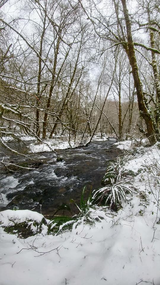 Powder Creek Campsites | Beaver OR