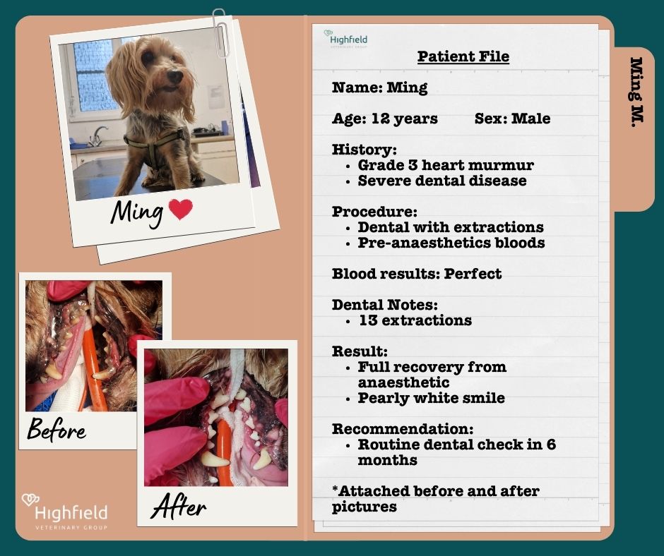 Highfield - 🌟 Patient Spotlight: Meet Ming! 🌟 This brave 12-year-old ...