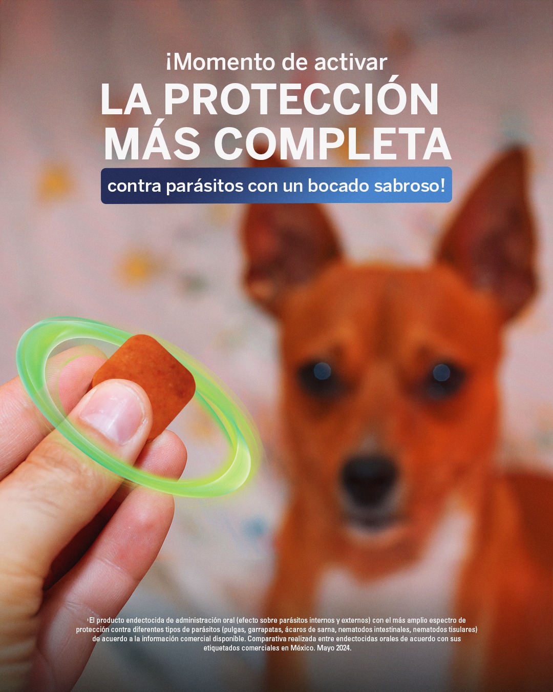 Distribuidora Corsicana - Tienda de Mascotas CDMX | Mexico City
