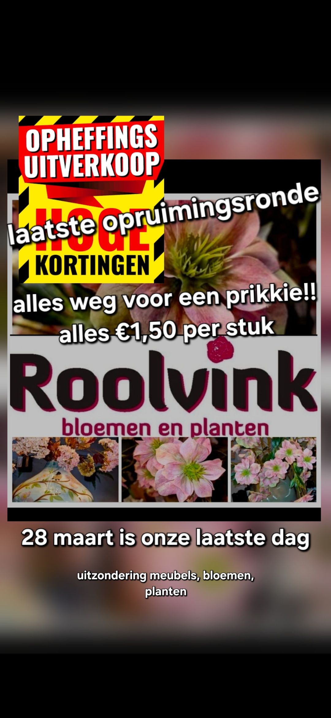 Roolvink bloemen | Hengelo