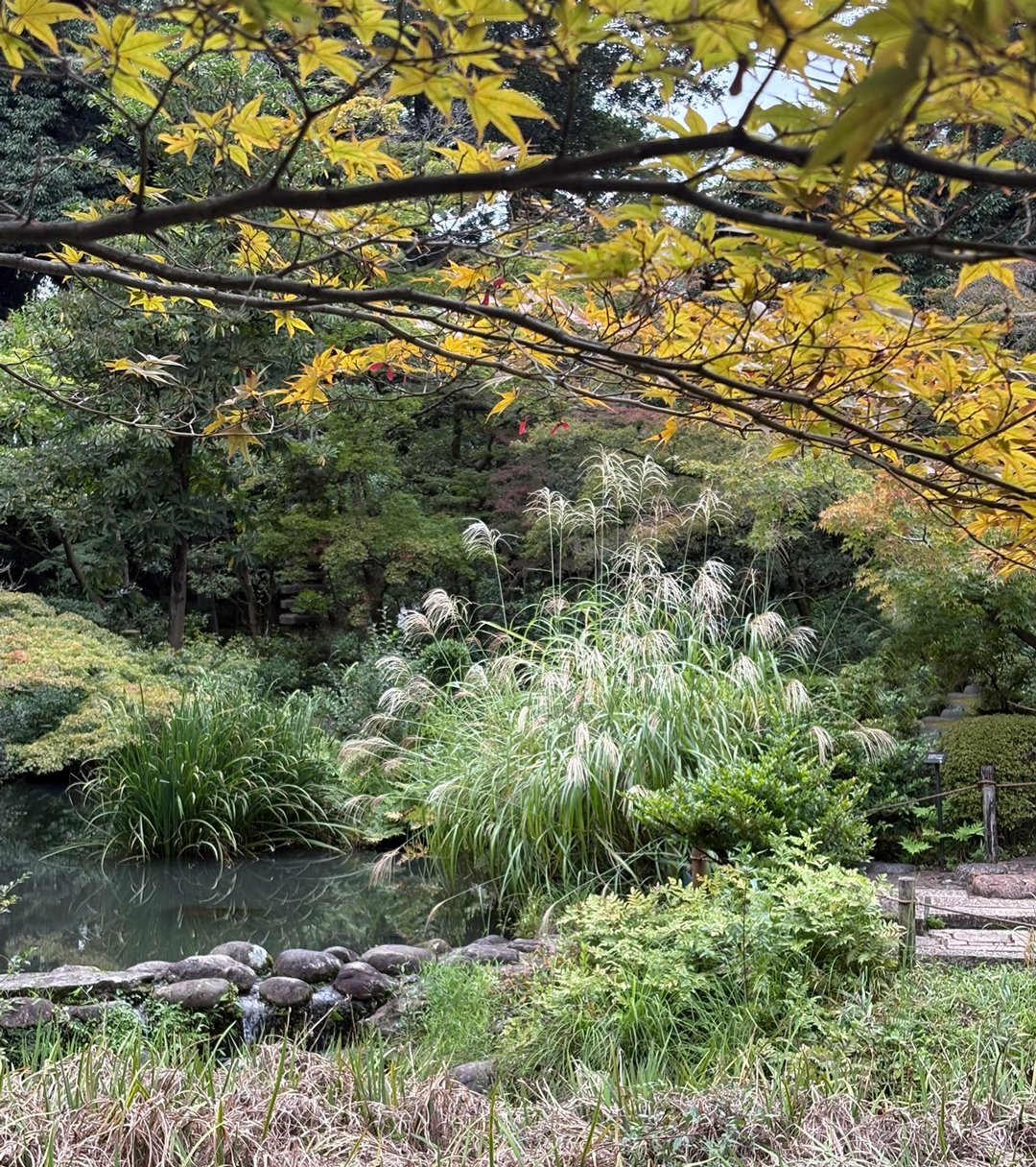 根津美術館 | Minato-ku Tokyo