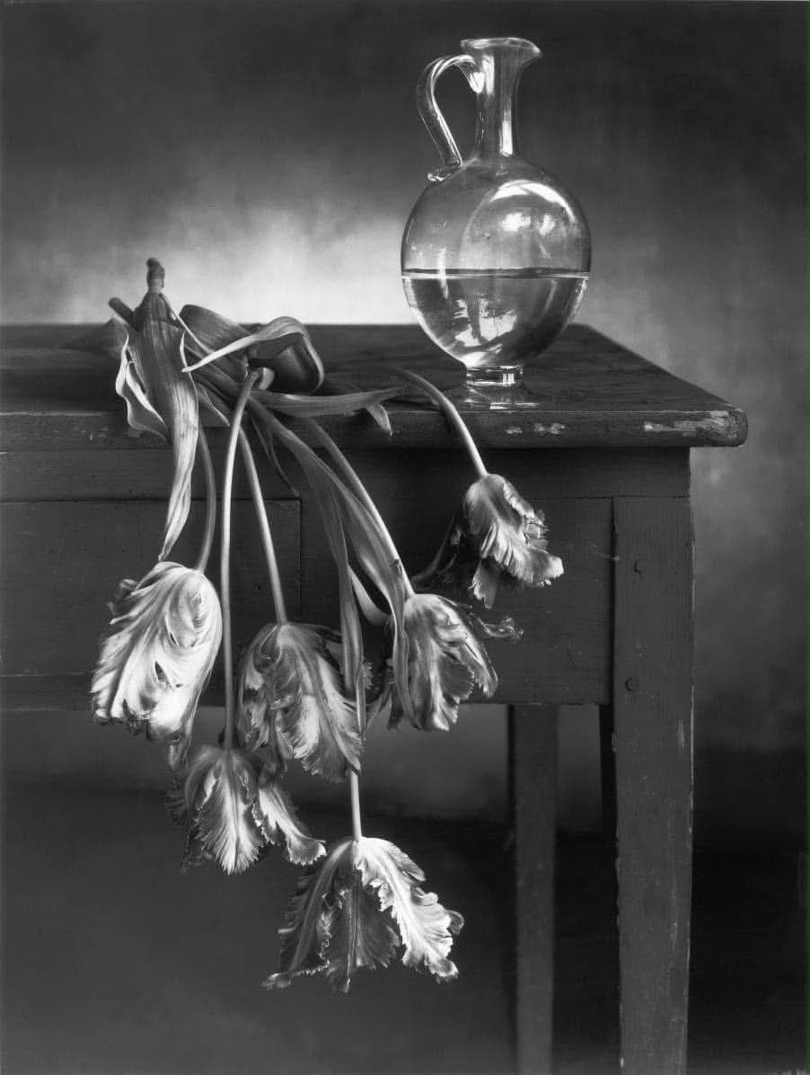 Christian Coigny - Still Life #36Frames #ChristianCoigny