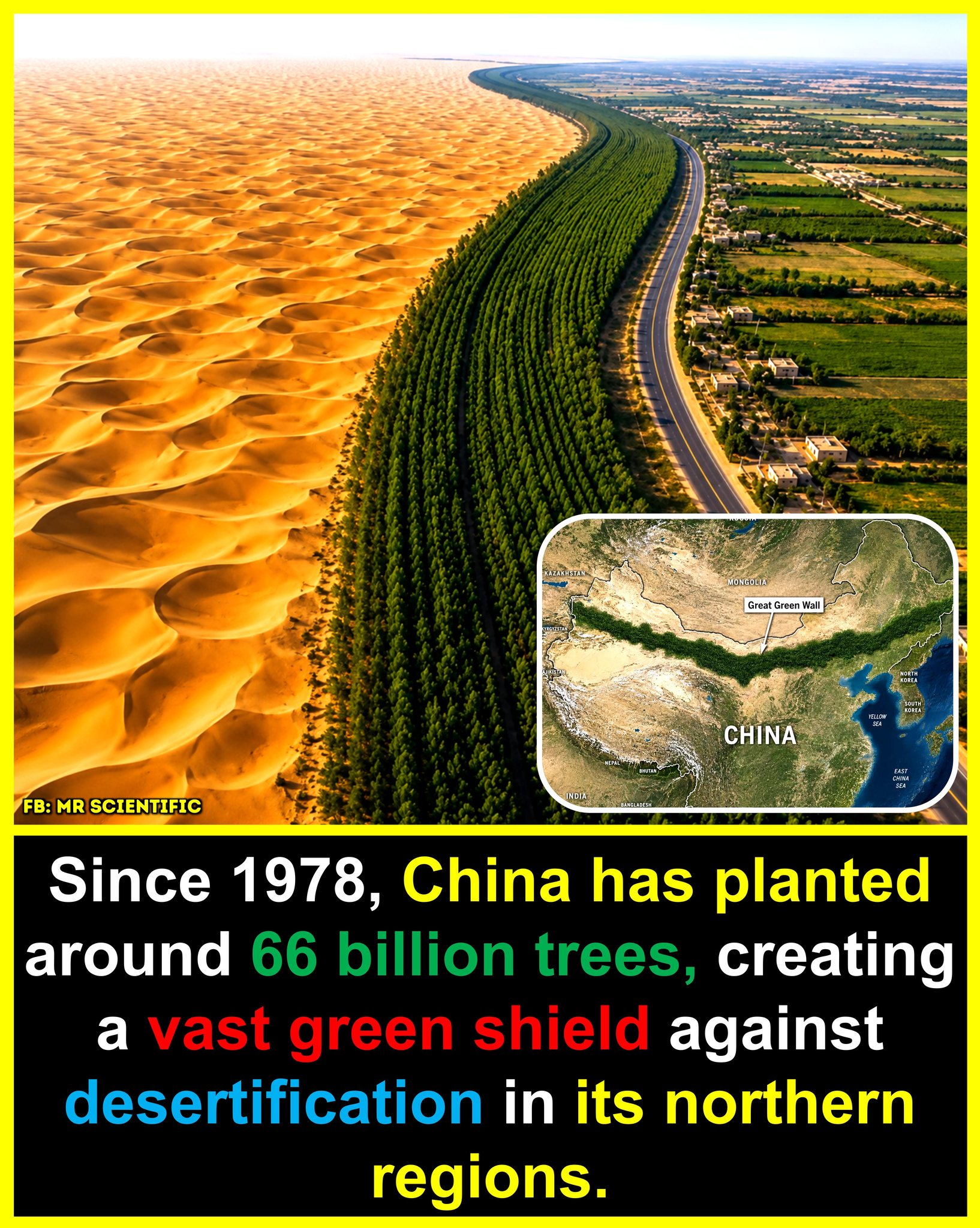 China launched the Three North Shelterbelt Program, commonly known