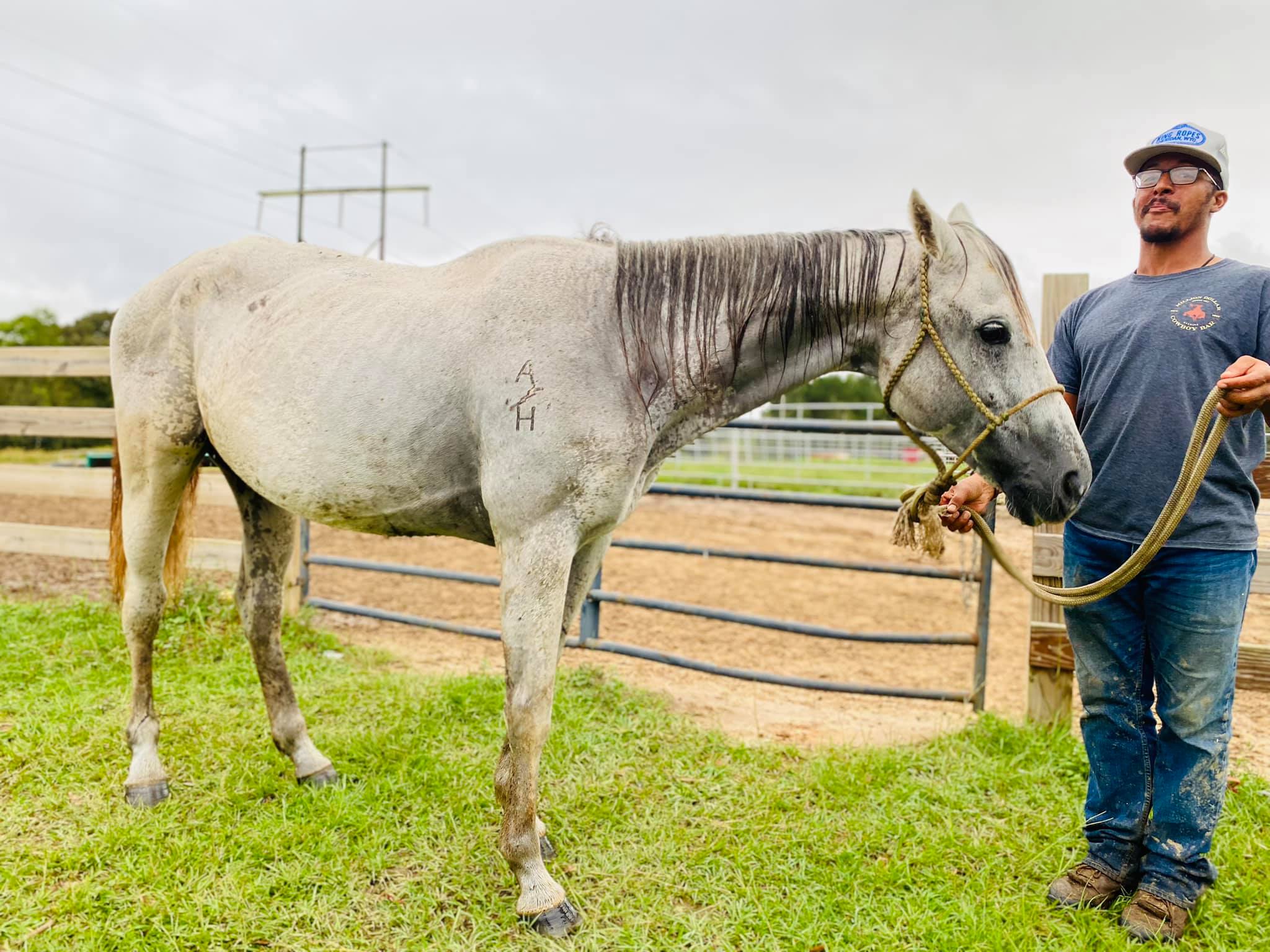 Rocking R Ranch and... - Rocking R Ranch and Rescue, Inc.