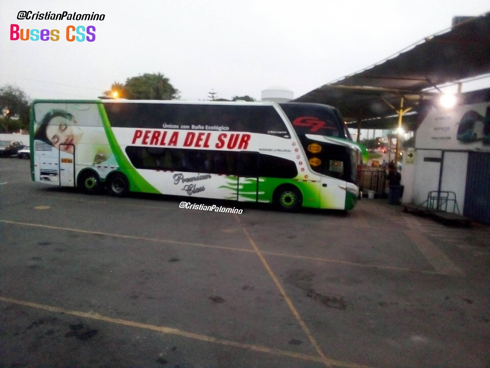 Buses CSS