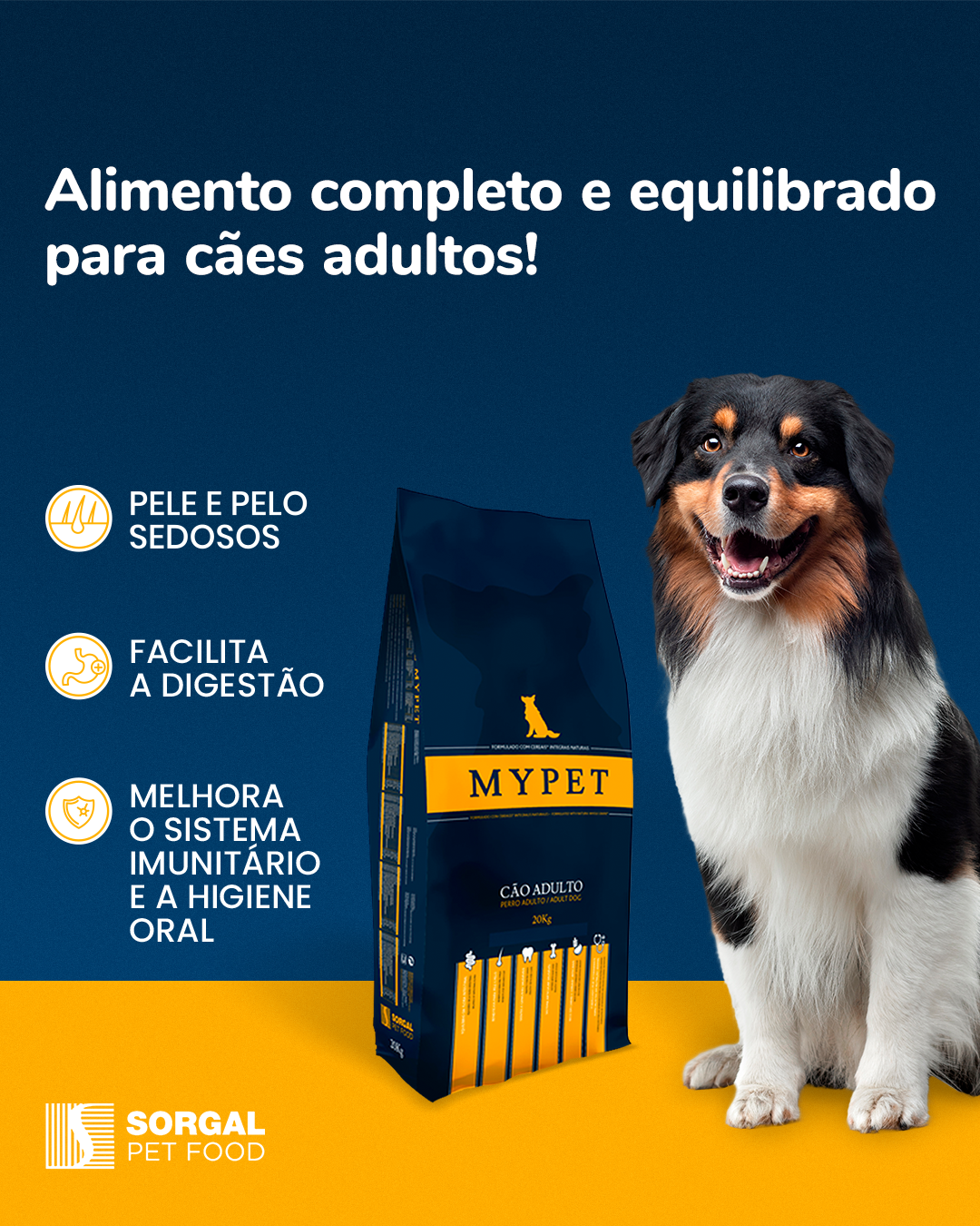 Sorgal Pet Food - São muitas as raças de cães, tão diferentes entre si ...