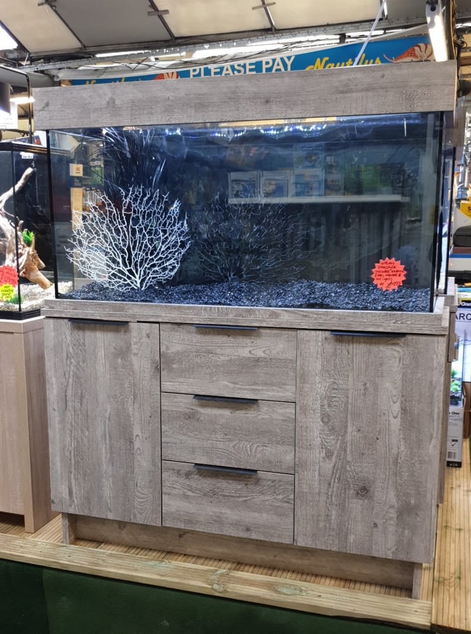 What is your favourite fish in your... Nautilus Aquatics
