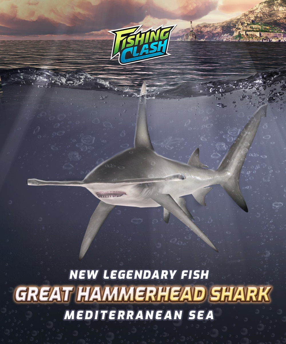 fishing clash bonnethead shark lure Headbanger Cranky Shad 3" Minnow this gives the Cranky Shad depth and a natural look New Record Great Hammerhead Shark