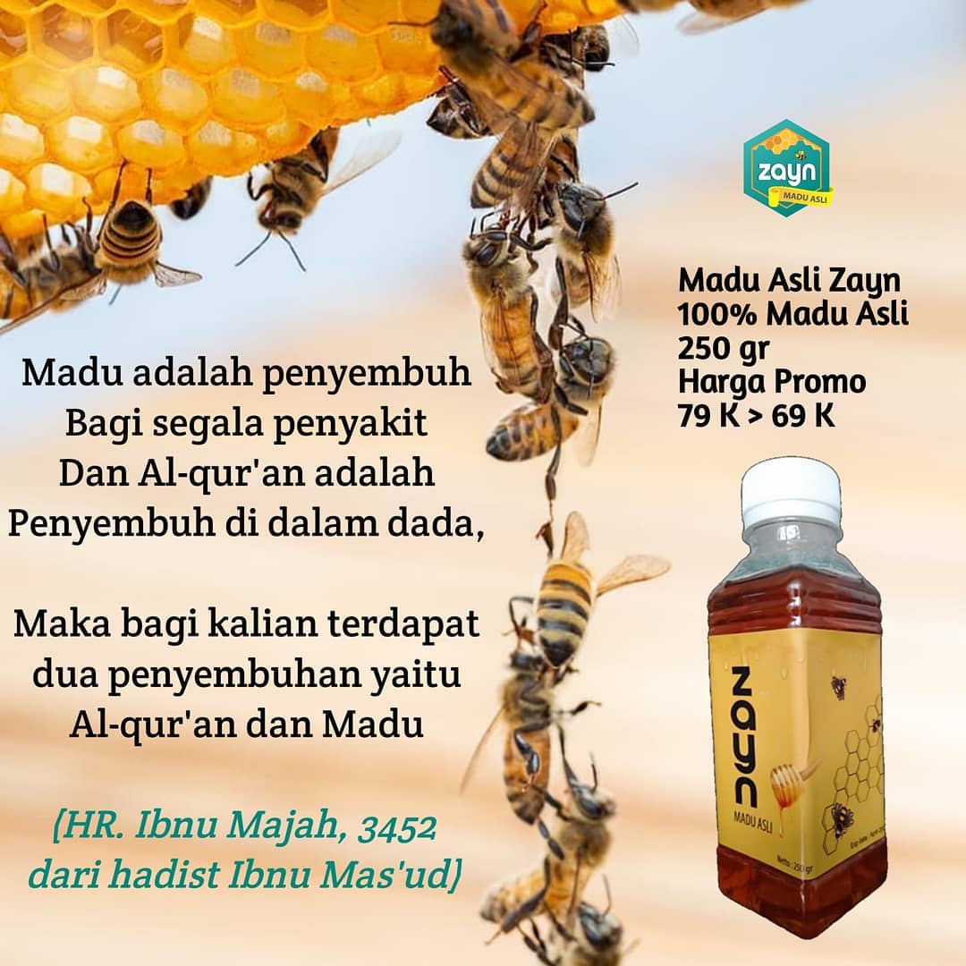 Madina Store Madu Jadi Rahasia Kuatnya Stamina Rasulullah ﷺ Madu Memiliki Banyak Manfaat Bagi Kesehatan Madu Juga Sudah Dikenal Sejak Zaman Nabi Nabi Muhammad ﷺ Menjaga Stamina Dan Meredakan Sakit