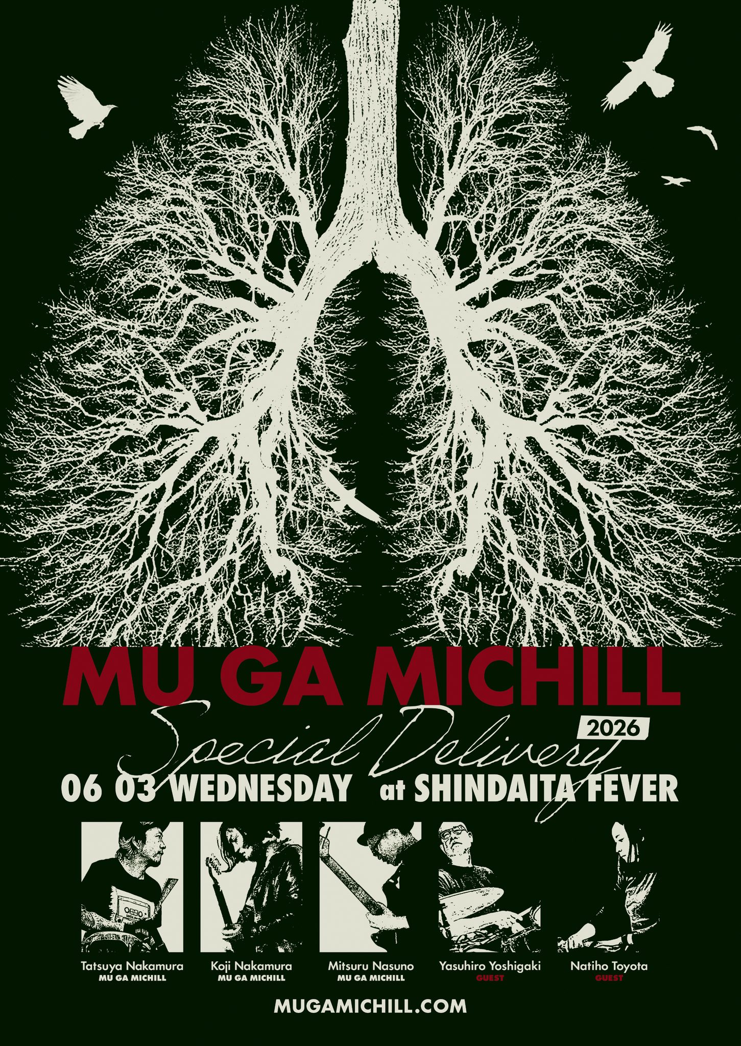MUGAMICHILL-POLAND BIRDS 中村達也 ナスノミツル CDR MUGAMICHILL