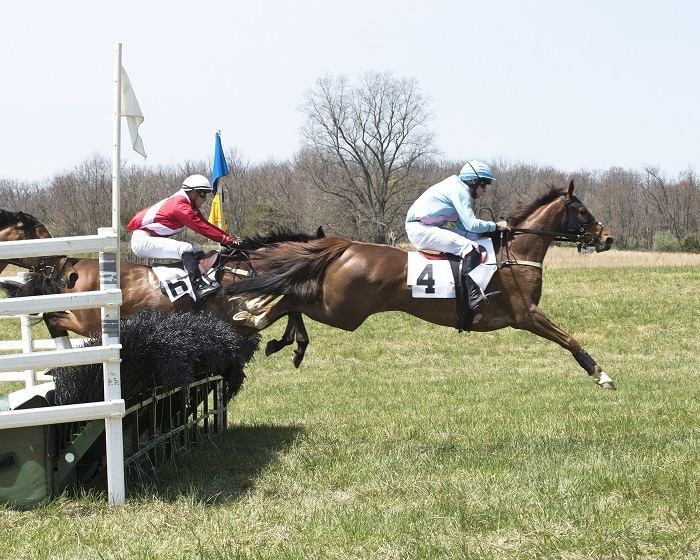 Foxhunting Life - The 69th running of the Blue Ridge Hunt... | Facebook