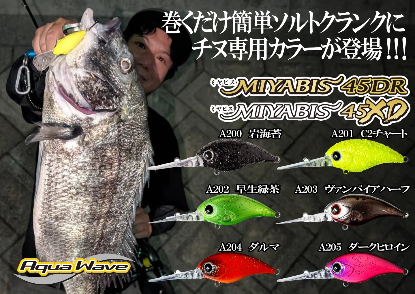 2026NEW】ロックフィッシュの新定番 ミヤビス45DR ミヤビス45XD 優れた