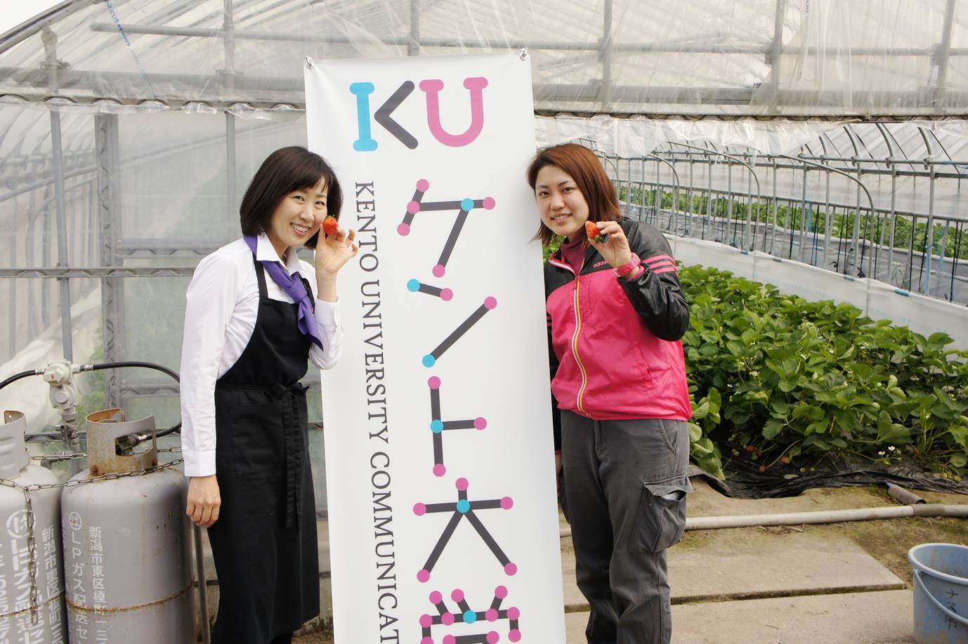 Kinohベジフルラボ - ★KINOHベジフルFarmers 「イチゴ」の産地から...