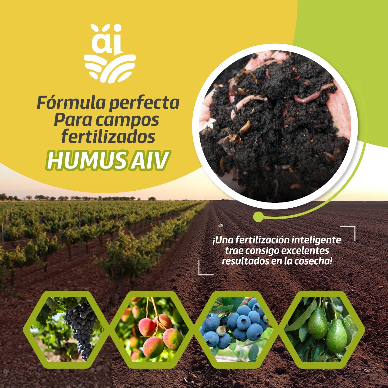 Agro - 𝗖𝗮𝗺𝗽𝗼𝘀 𝘃𝗶𝘃𝗼𝘀, 𝘃𝗶𝗱𝗮 𝘀𝗮𝗻𝗮 Humus AIV comprometido con tus cosechas ...