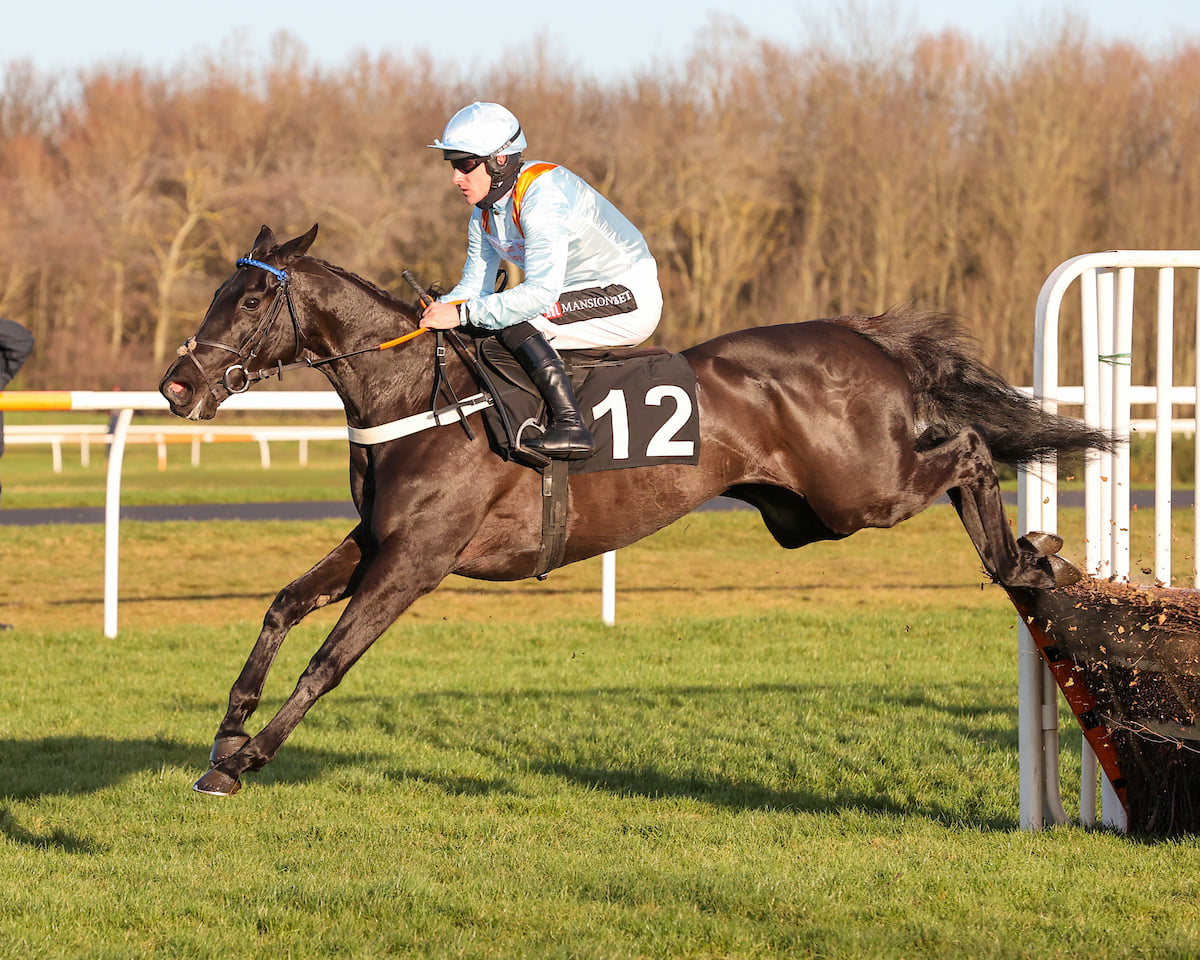The National Hunt season gets up... - Middleham Park Racing