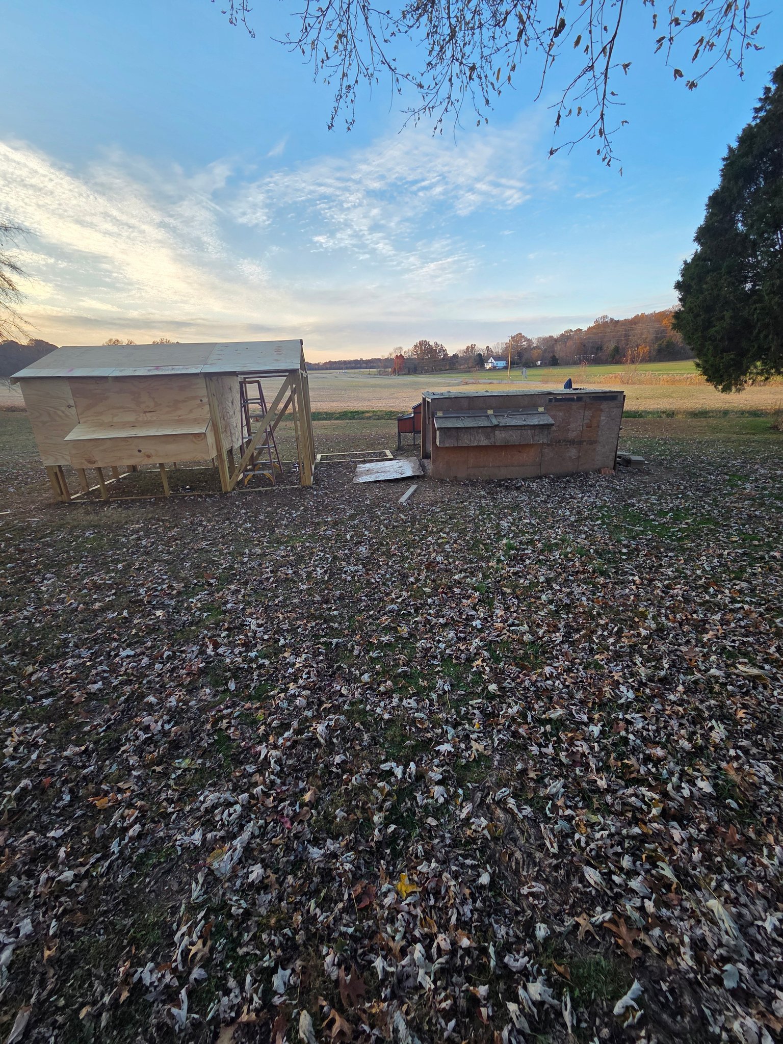 Daimon Glaskox - The new chicken coop is almost done! The... | Facebook