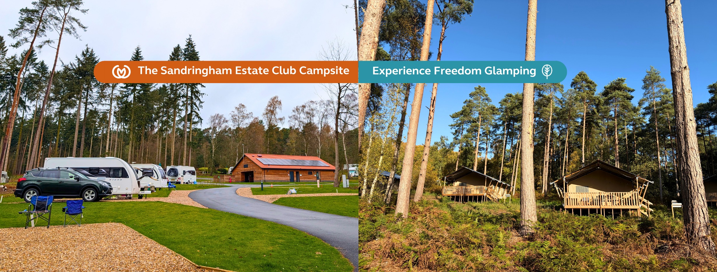 🐷 SAVE THE... - Delph Bank Touring Caravan & Camping Park | Facebook