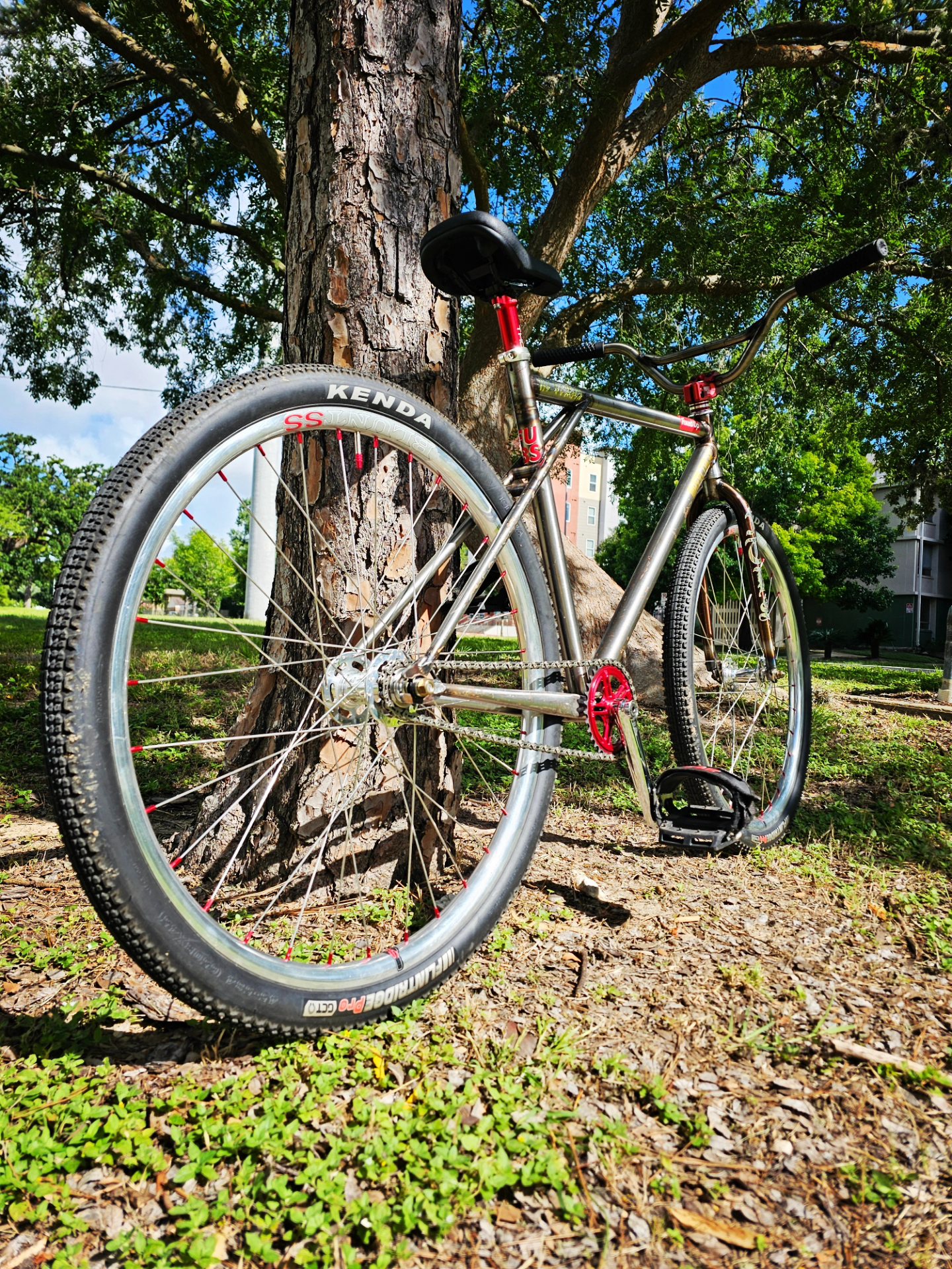 Get outside and ride today! One from my collection. Custom Nemesis