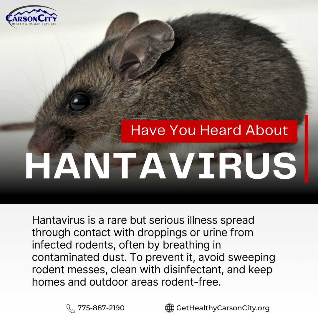 🧹🐭 Hantavirus: A... - Carson City Health and Human Services | Facebook