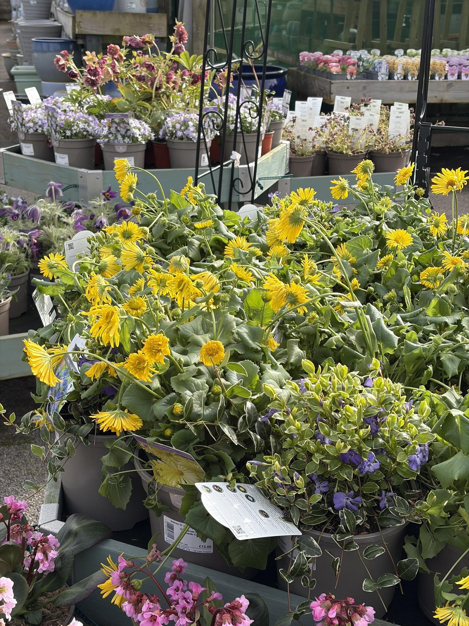 Flowervision norwich added a new... - Flowervision norwich