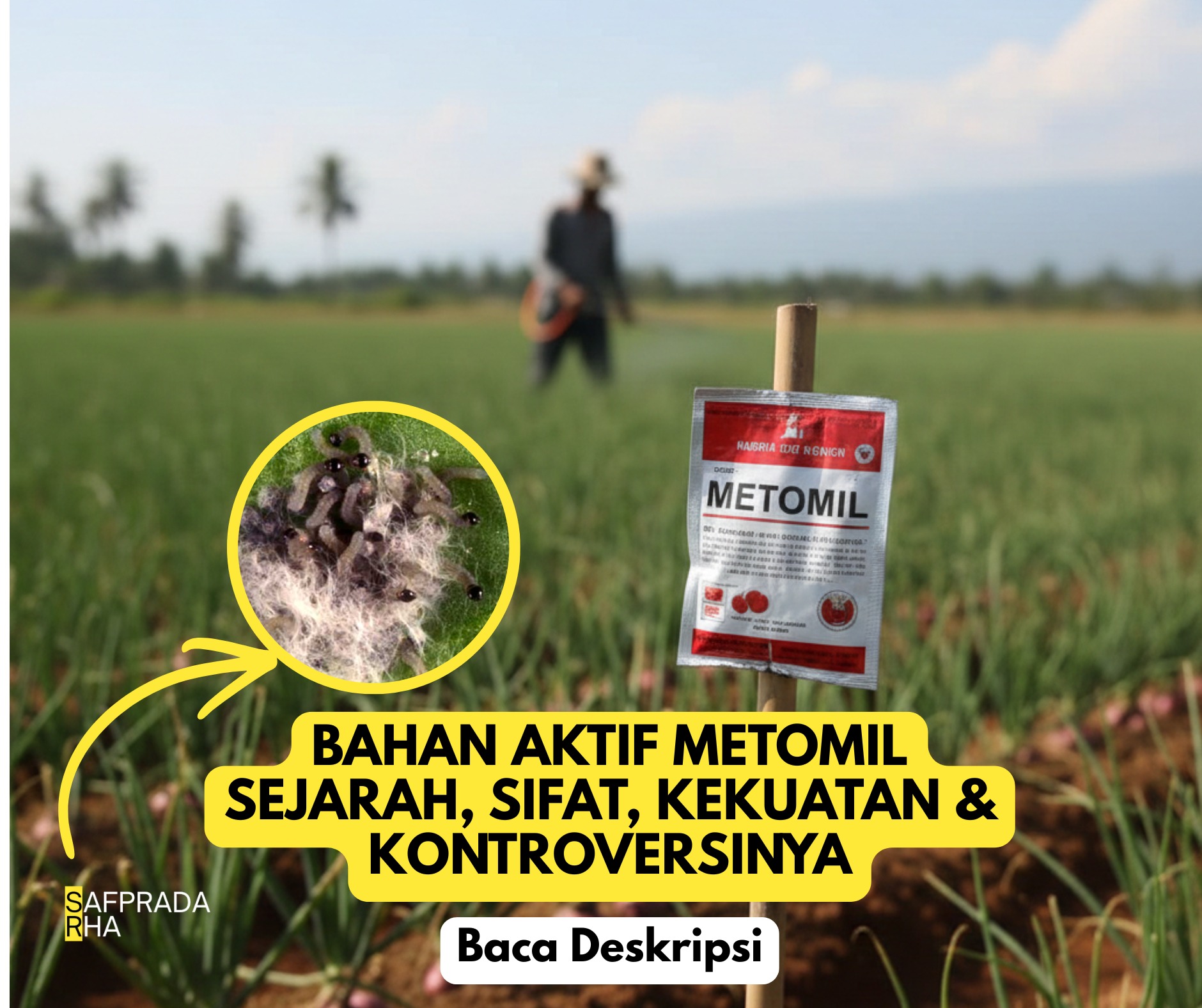 Safprada - BAHAN AKTIF METOMIL: SEJARAH, SIFAT, KEKUATAN ...