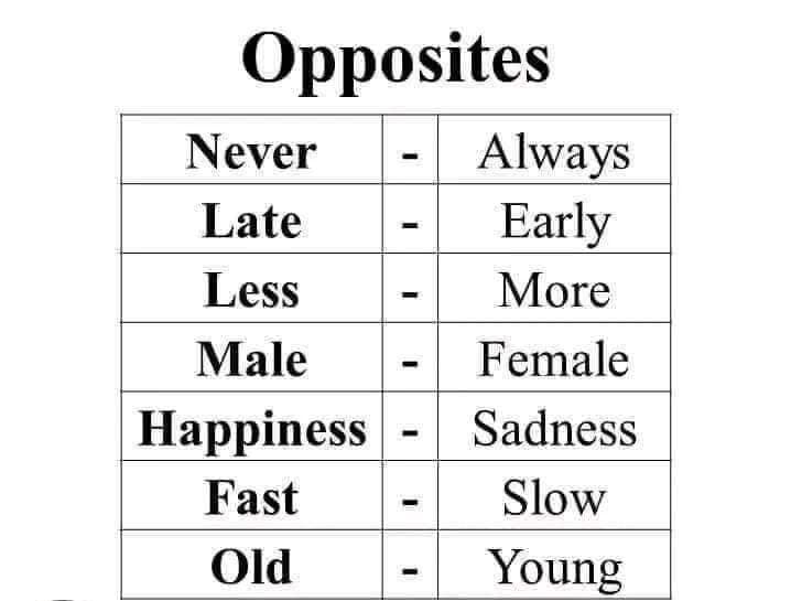 Out knowledge - # Opposite word and # If you study these... | Facebook