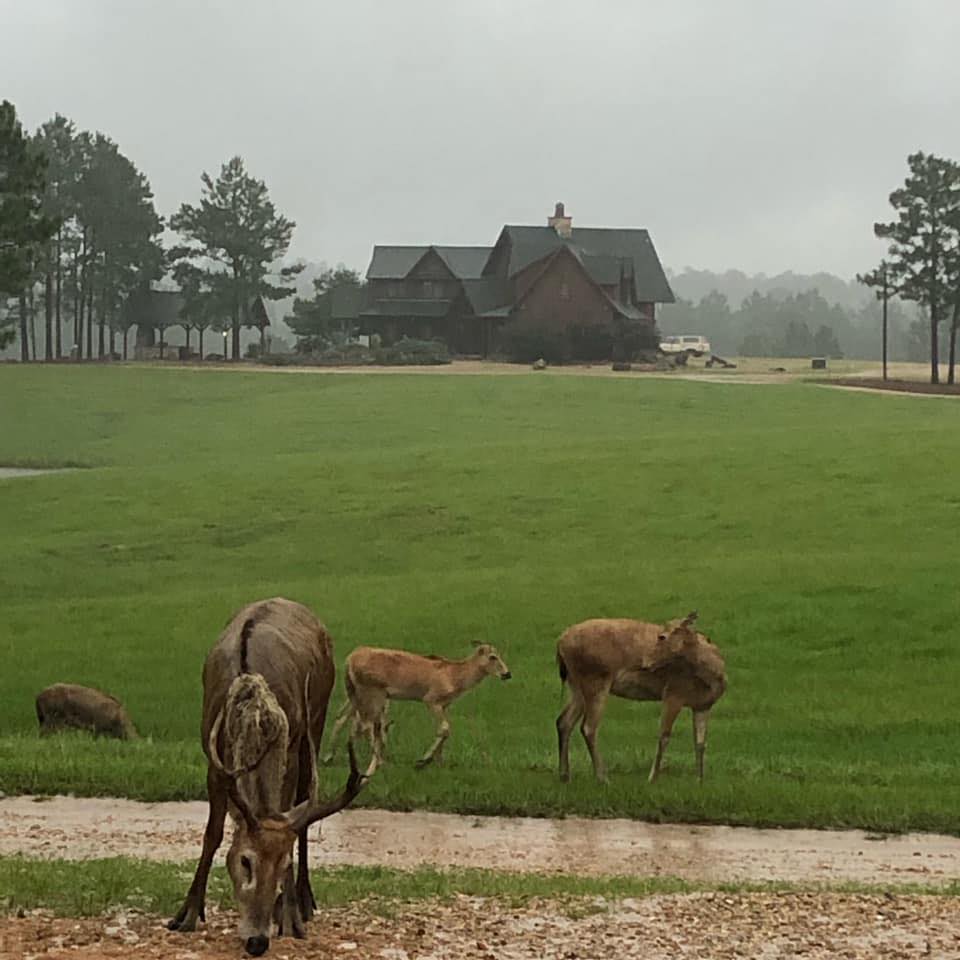Half Moon Ranch | Purvis MS
