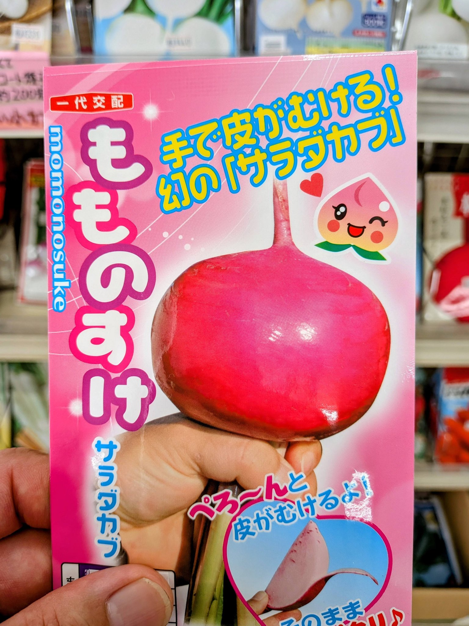 サツマイモ苗の入荷が始まりました。 「紅はるか」や「シルクスイート