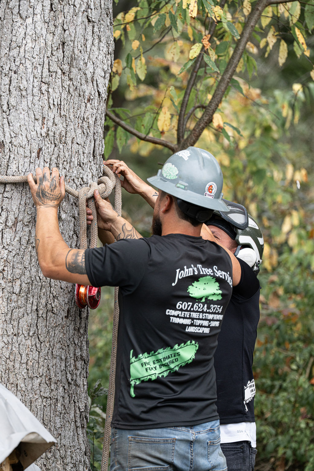Johns Tree Service and Landscaping
