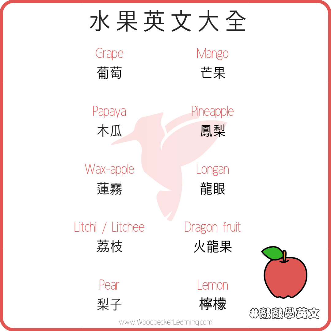 啄木鳥語言學習 水果英文大全 Let S Learn 10 New Words In English 我們來挑戰學10個新的英文字 今天的大全 Grape 葡萄 Papaya 木瓜 Wax Apple 蓮霧
