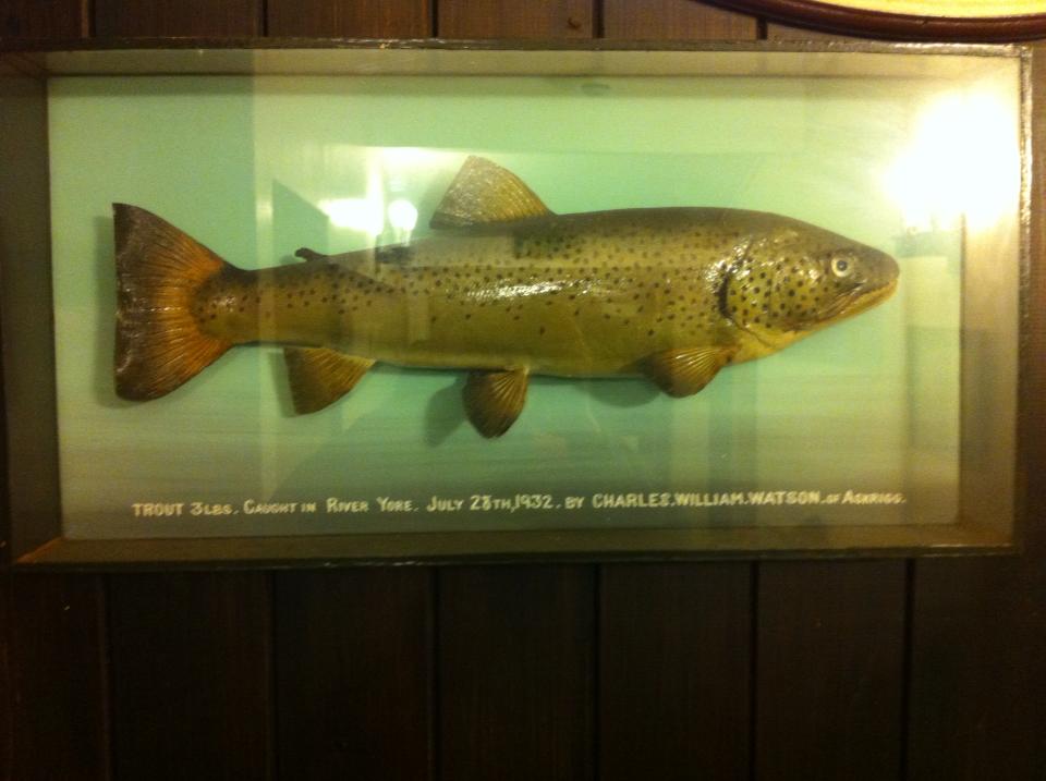 Wensleydale Angling Association