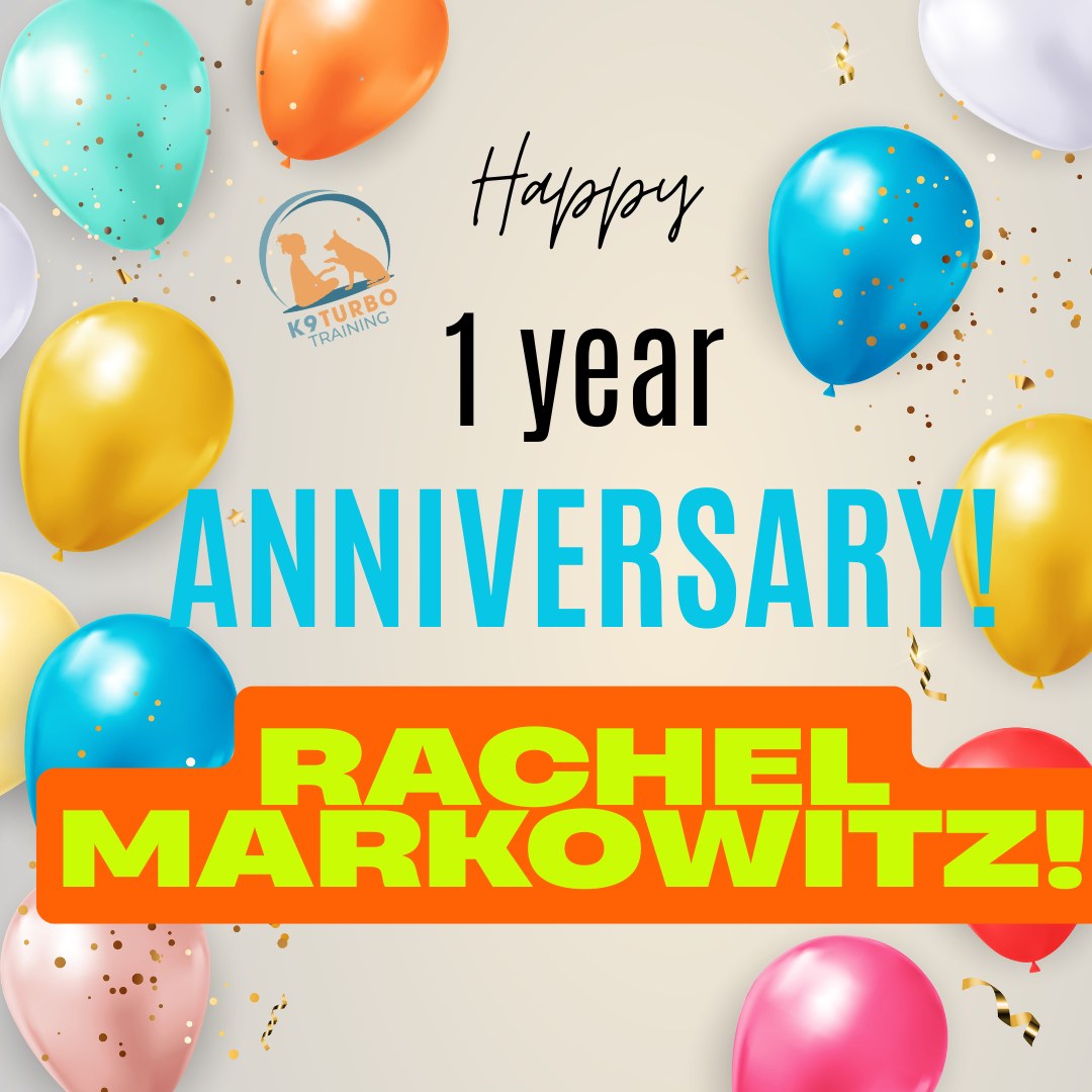 K9 - Please join us in celebrating the 1-year Workaversary of our ...