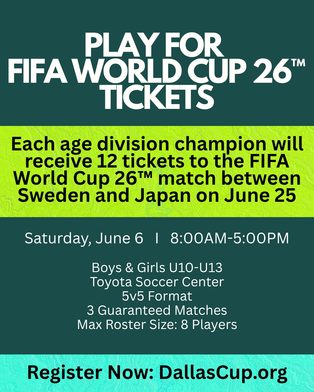 レア！ FIFA WORLD YOUTH TOURNAMENT UAE 2003 ** Mi.732 FIFA World