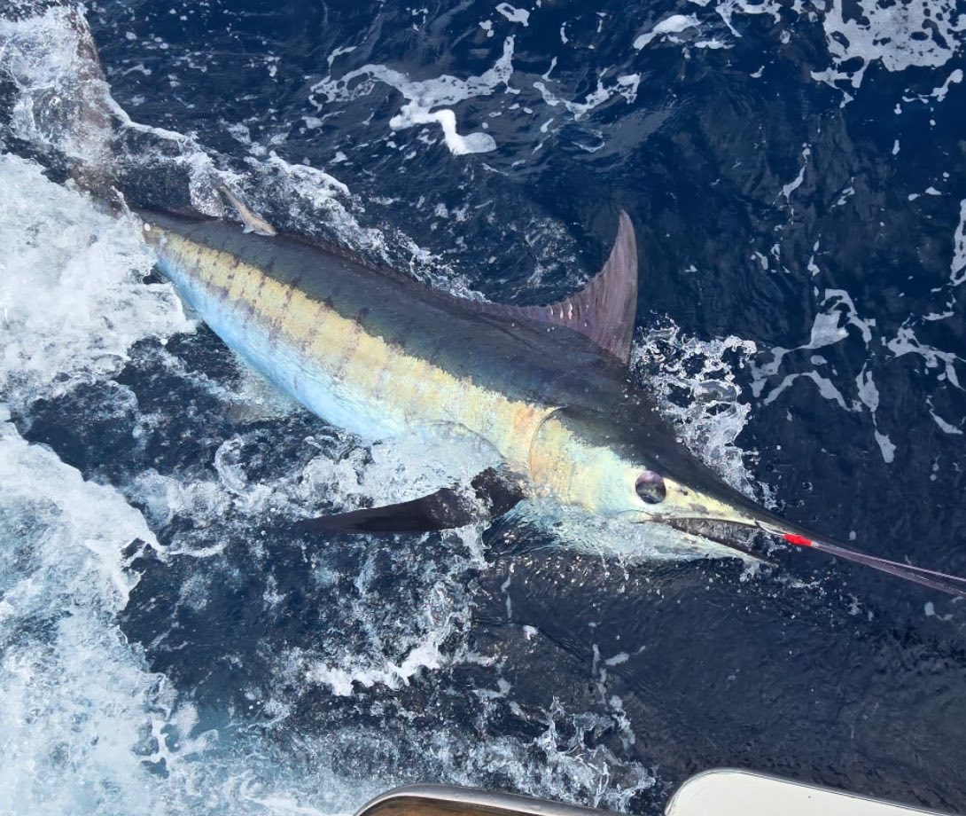 Qualifier Charters | Manteo NC