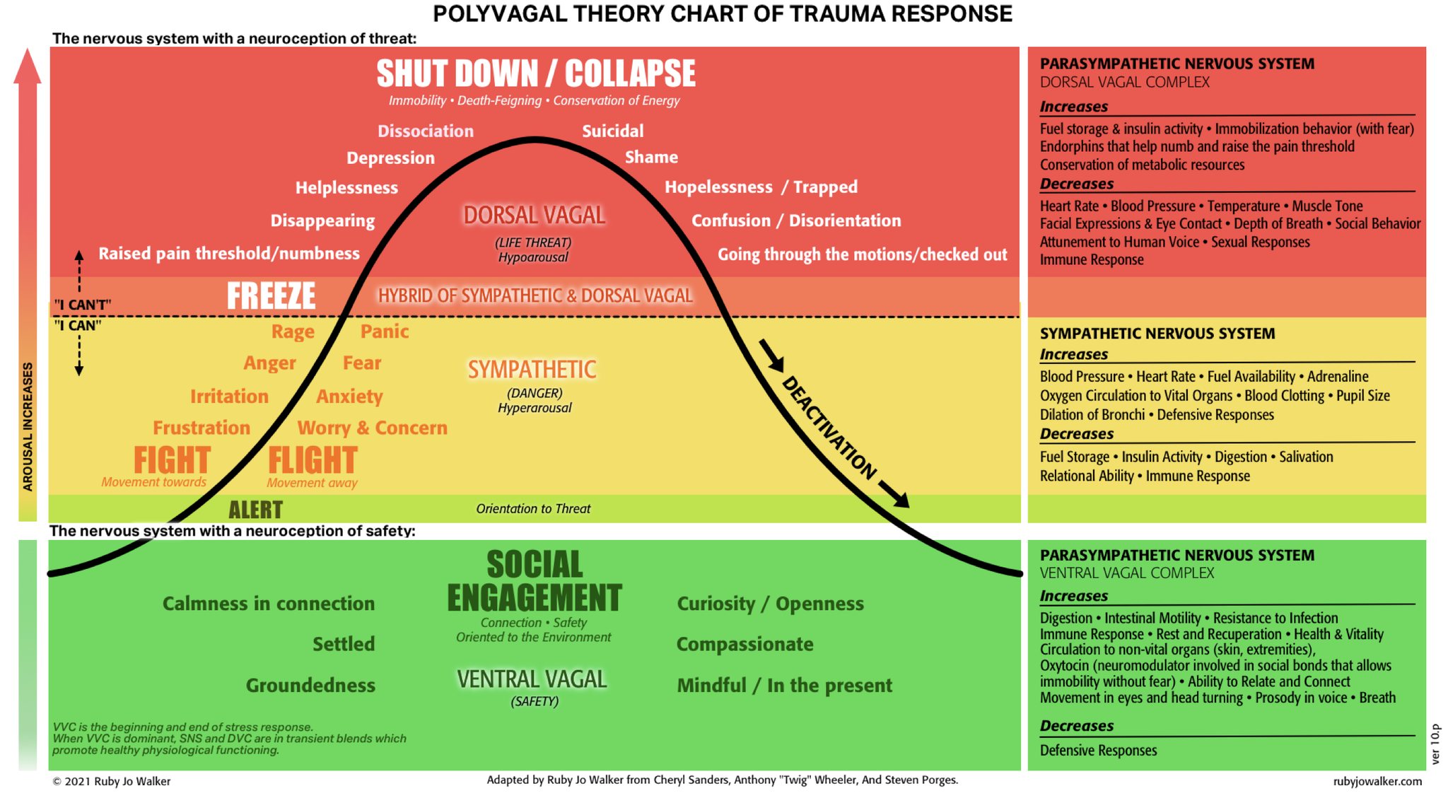 🧠 Polyvagal in Practice: A... - EMDR Chicago Paula Merucci | Facebook